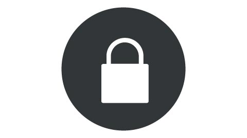 Inflation-Proof Icon