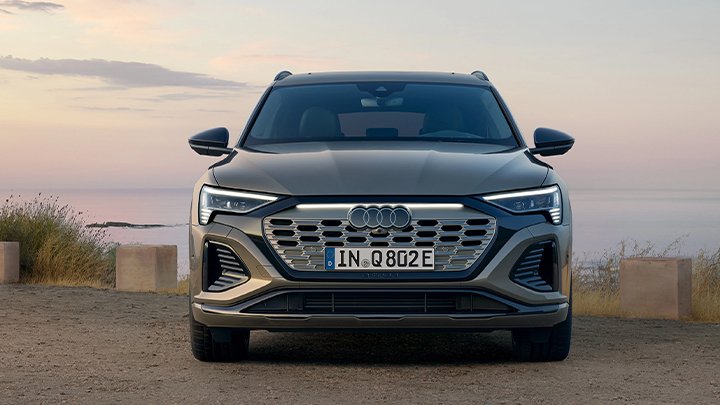 Dark Grey Audi Q8 e-tron Front Grille
