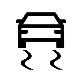 Dynamic stability control icon
