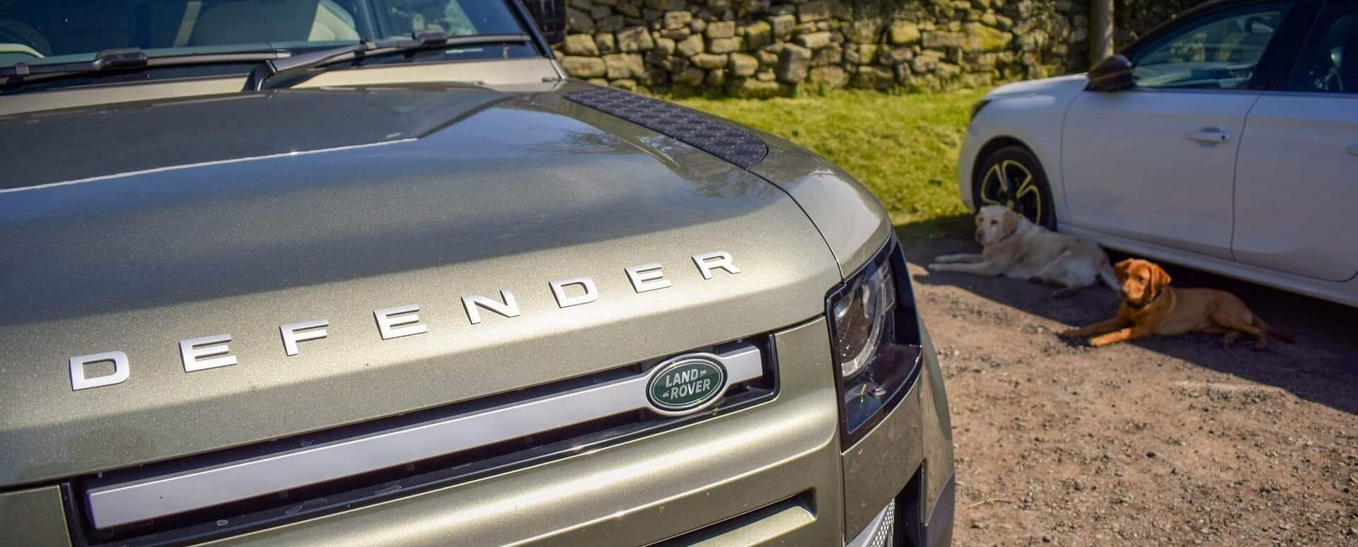 Land Rover Defender with Dogs