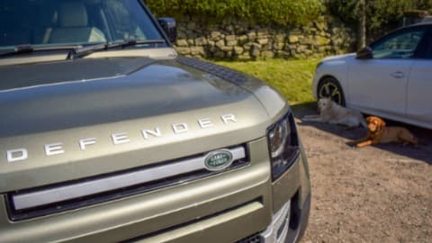 Land Rover Defender with Dogs