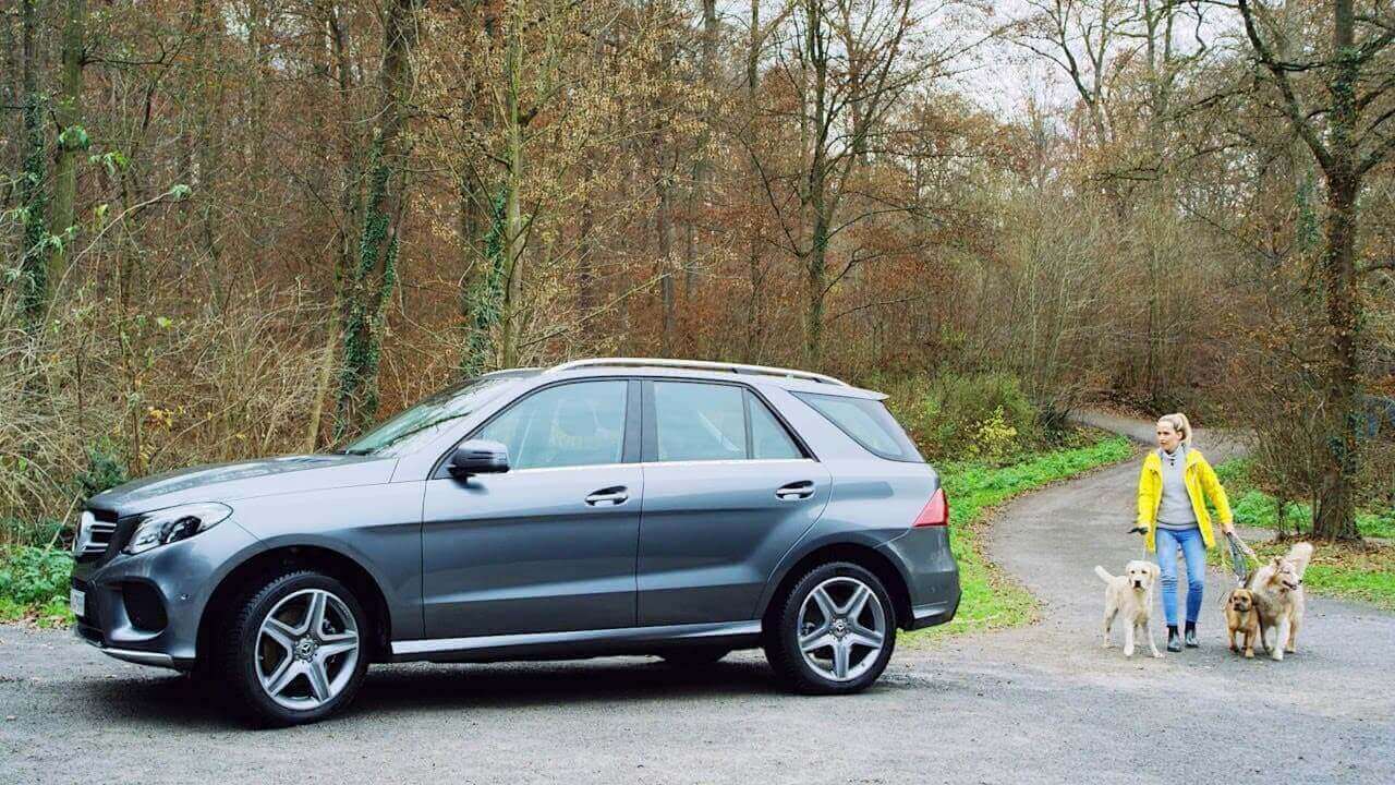 Mercedes-Benz GLE with Dogs