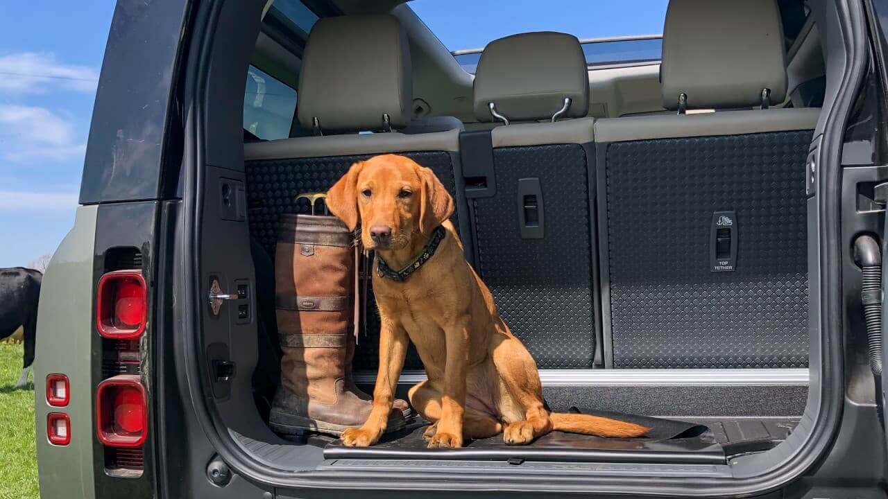 Land Rover Defender 90 Boot