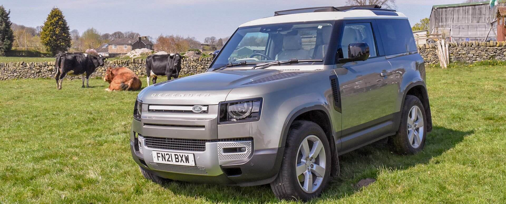Land Rover Defender 90 and Cows