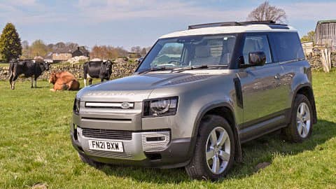 Land Rover Defender 90 and Cows