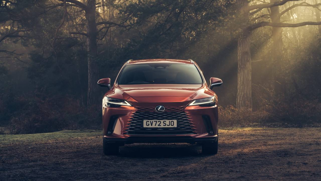 Lexus RX SUV front view parked in forest with soft natural light