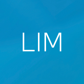 BMW Manual Speed Limiter Warning Light