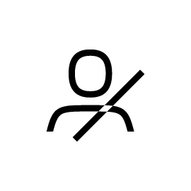 Seat Belt Warning Light