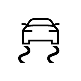 Stability Control Warning Light
