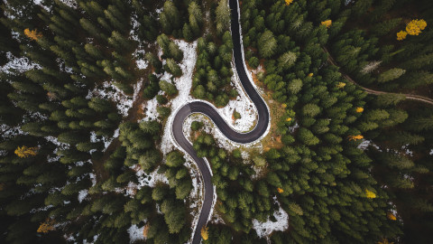 Aerial View of Forest Road