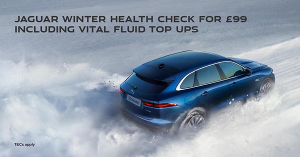 Jaguar Winter Health Check