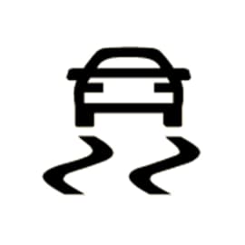 Dynamic stability control icon