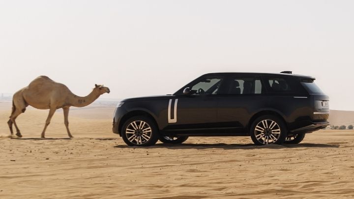 Range Rover Electric being driven by a camel