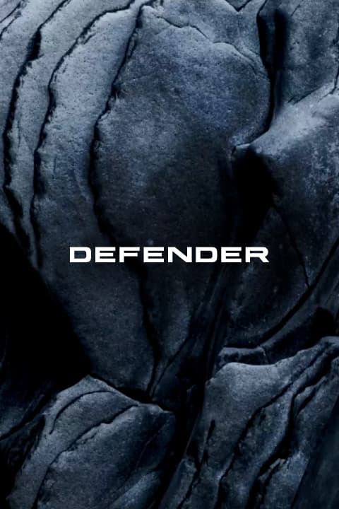Defender artwork