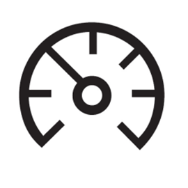 Cruise Control light icon