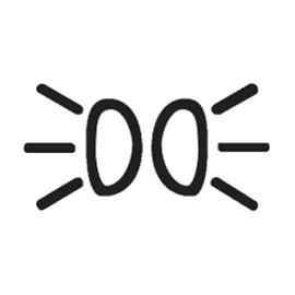 Parking Lamp light icon