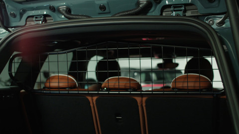 MINI Dog Cage Attachment