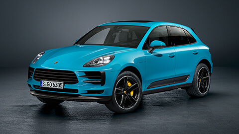 Macan