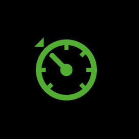 Cruise Control Warning Light