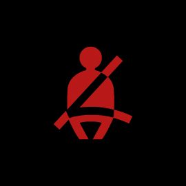 Seat Belt Reminder Warning Light