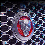 Jaguar badge.